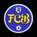Logo du club de football Bellebrune FC