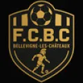 Logo du club de football Bellevigne Chateaux