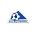 Logo du club de football Blayais Stade