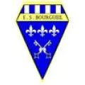 Logo du club de football Bourgueil Es
