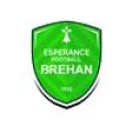 Logo du club de football Brehan Espe