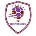 Logo du club de football Breviandes FC