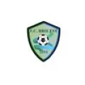 Logo du club de football Brie Est Foot. Club