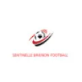 Logo du club de football Brienon