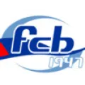 Logo du club de football Buhl FC