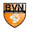Logo du club de football Bvn