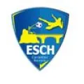 Logo du club de football Carantec Es