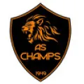 Logo du club de football Champs S/marne Foot