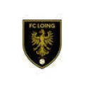 Logo du club de football Chatillon Fc Loing