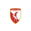 Logo du club de football Chevilly Larue Elan