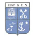 Logo du club de football Cholet Nuaille Esspg