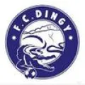Club logo football club Dingy St-clair FC