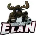 Logo du club de football Dissay S/s Courc. Es