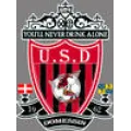 Logo du club de football Domessin US