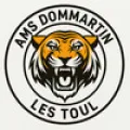 Logo du club de football Dommartin AS