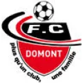 Logo du club de football Domont FC