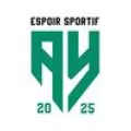 Logo du club de football Es De L'ay