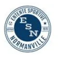 Logo du club de football Es Normanville