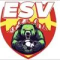 Club logo football club Es Vitrolles