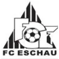 Club logo football club Eschau Fc