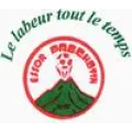 Logo du club de football Essor Prechotin