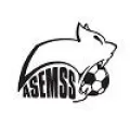 Logo du club de football Esves St Seno