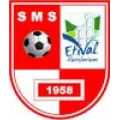 Logo du club de football Etival Sm