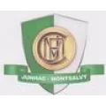 Club logo football club FC Junhac-montsalv