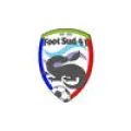Club logo football club Foot Sud 41