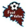 Logo du club de football Foot Vallon