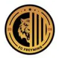 Logo du club de football Freyming Fc