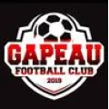 Logo du club de football Gapeau F.c