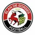 Club logo football club Gorges Elan
