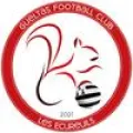 Logo du club de football Gueltas Fc