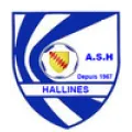 Logo du club de football Hallines AS
