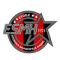 Logo du club de football Hamel Esm