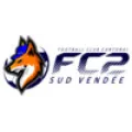 Logo du club de football Ile D Elle Chaillé V