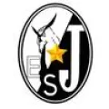 Logo du club de football Joigny Es