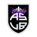 Logo du club de football La Baconnière As