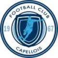 Logo du club de football La Capelle FC