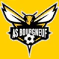 Logo du club de football Le Bourgneuf Ams