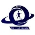 Logo du club de football Le Fief Geste Fc