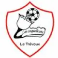 Logo du club de football Le Trevoux C