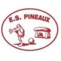 Logo du club de football Les Pineaux Es