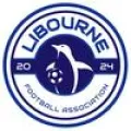 Logo du club de football Libourne Foot 2024