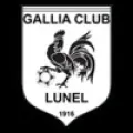 Logo du club de football Lunel Gc