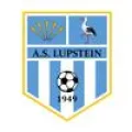 Logo du club de football Lupstein AS