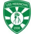 Logo du club de football Merinchal Uss