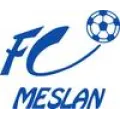 Logo du club de football Meslan Fc