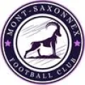 Logo du club de football Mont-saxonnex Foot